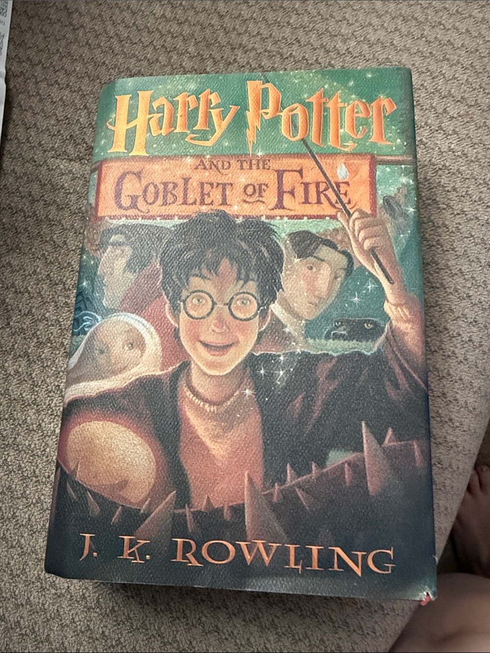 Scholastic Harry Potter Goblet of Fire Wall Art - Green/Brown/Gold rare